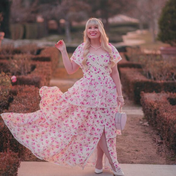 Ivy City Co Annabelle Dress in Roses 2X NWT - Picture 4 of 7